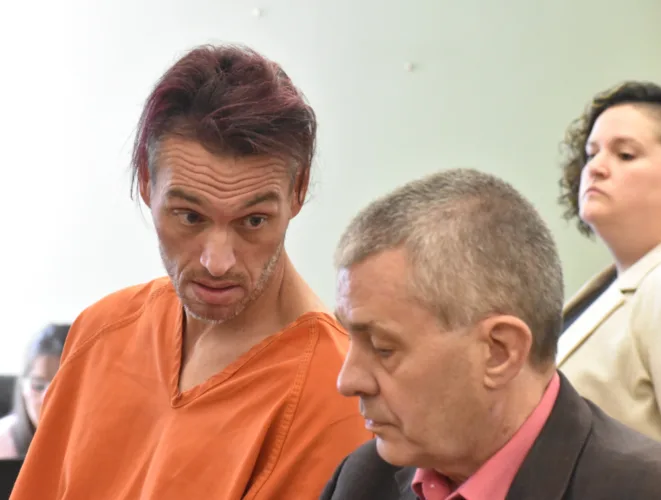 Man sentenced in dog attack